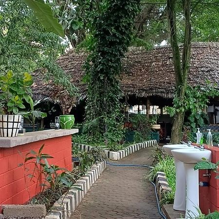 Ibrahim Garden Hostel 阿鲁沙 外观 照片
