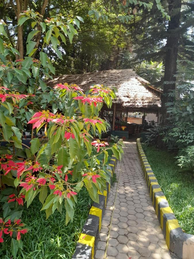 Ibrahim Garden Hostel 阿鲁沙 外观 照片