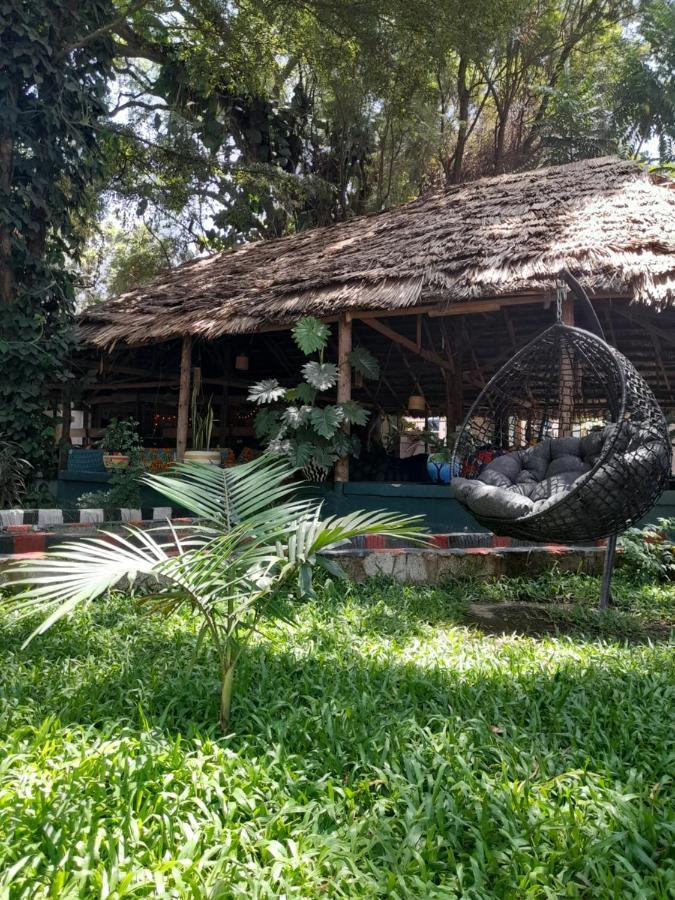 Ibrahim Garden Hostel 阿鲁沙 外观 照片