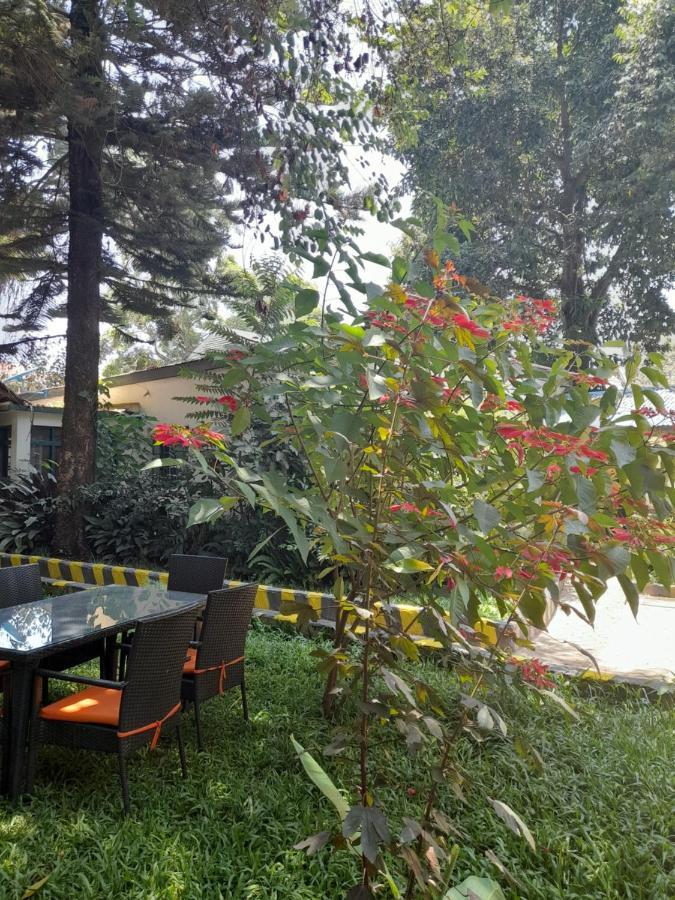 Ibrahim Garden Hostel 阿鲁沙 外观 照片